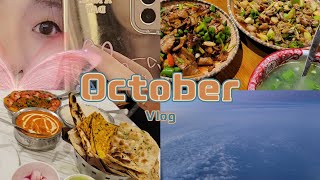 [蛋蛋的日常] October‖多伦多/印度vlog‖嗜糖日常‖持续热爱哈利波特‖印度二刷🇮🇳‖拈一筷子