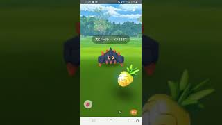 【ポケモンGO】Pokémon GO　ガントルとのレイドバトル