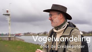 Vogelwandeling door de Crezéepolder #803