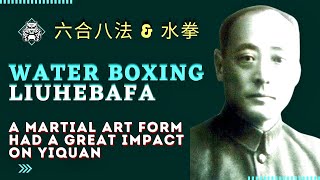 Liuhebafa, A Martial Art Form Had a Great Influence on Yiquan 1 #liuhebafa #wuyihui #yiquan