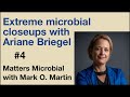 Matters Microbial #4: Extreme Microbial Closeups