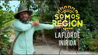 Somos Región: La Flor de Inírida