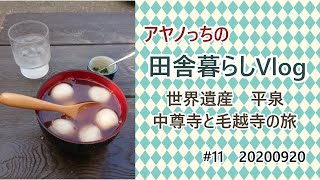 【岩手県平泉町】世界遺産平泉　中尊寺と毛越寺の旅【Vlog】