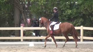 111學年度全國中等學校馬術錦標賽 高中組 馬場馬術 Preliminary 柯予涵 KO, Yu-Han