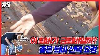 좋은 퇴비 선택 및 사용법 - 좋은 퇴비 선택 요령 #3