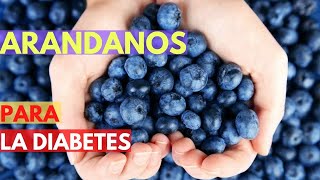 🍇 ARANDANOS para la Diabetes | ¿Los diabéticos pueden COMER ARANDANOS?