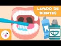 Cómo lavarse los dientes paso a paso - Lavado de dientes para niños