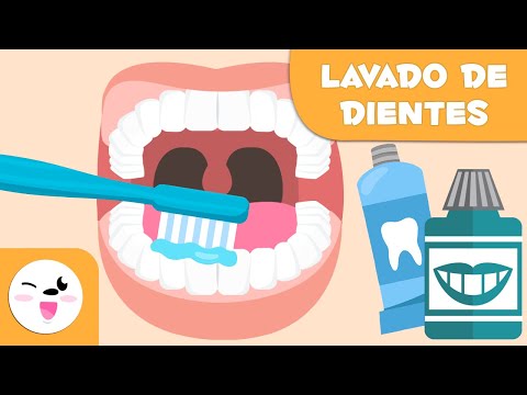 Cómo Lavarse Los Dientes Paso A Paso Lavado De Dientes Para Niños