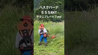 草刈機　ハスクバーナ５５５RXT ナイロンコードはテクニブレード７mm  #shorts  #shortsyoutube  #shortsvideo