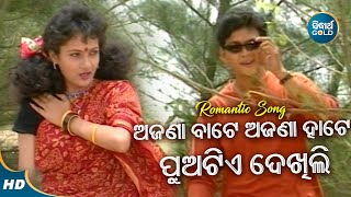 Ajana Bate Ajana Hate - Romantic Album Song - Ira Mohanty | ଅଜଣା ବାଟେ ଅଜଣା ହାଟେ | Sidharth Music