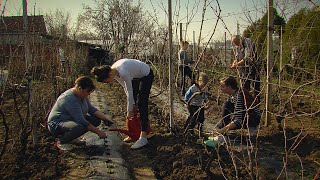 Kárpát-medence - Példamutató Nagycsalád díjat kapott a nagybecskereki Győri család 2021.03.14.