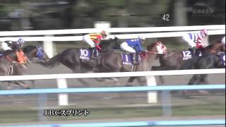 2013 JBCスプリント（エスポワールシチー）HD