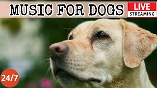 [LIVE] Dog Music🎵Relaxation Music to Calm Your Dog🐶Separation Anxiety Relief Music💖Dog Sleep🎵1-1