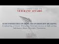 Subcommittee on Health Oversight Hearing