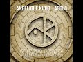 Angélique Kidjo - Agolo (Shimza Remix) | Afro House Source | #afrohouse #afrodeep #afrotech