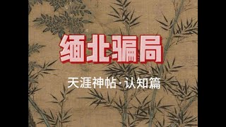 天涯神帖：演员王星被骗只是开胃菜