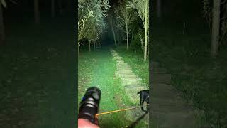 Nitecore P20ix nigth test