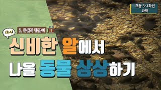 [초등 과학 3-1] 3. 동물의 한살이 - 1차시. 신비한 알에서 나올 동물 상상하기