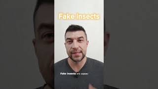 Проверка своей интуиции при помощи Fake insects