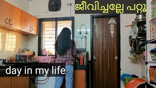 🏡എപ്പോഴാണേലും നമുക്ക് വീട്ടിലെ ജോലികൾക്കണോ പ്രയാസം || Malayalam Day in my Life of Malayali Housewife