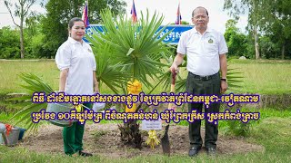 ពិធី ដាំដើមត្នោតនៅសងខាងផ្លូវ ខ្សែក្រវ៉ាត់ព្រំដែនកម្ពុជា-វៀតណាម ប្រវែង ១០ គ.ម