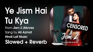 Ye Jism Hai To Kya Slowed + Reverb | Jism 2 (Movie) | Sang by Ali Azmat | Hindi Lof Music