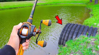 Catching GIANT Bass in SMALL Ponds (Bed Fishing)