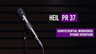 Heil Sound PR 37 Dynamic Microphone for Live Sound and Vocal Recording