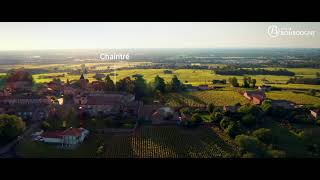 Au Cœur des Terroirs de Mâcon-Chaintré