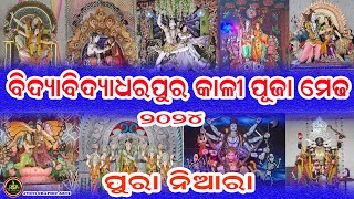 bidyadharpur. kali medha 2024.ବିଦ୍ୟାଧରପୁର କାଳୀ