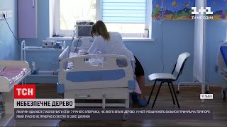 Новини України: стан 7-річного хлопчика, на якого впало дерево у Львові, стабілізувався