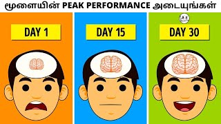 How to Increase Focus and Brain Power (Tamil) | 3 Steps to Become a Genius | almost everything