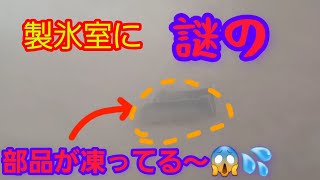 【冷蔵庫】がぶっ壊れた‼️仕方ないので買い換えた😭💦