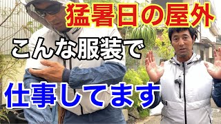 【熱中症知らず】植木屋の夏の作業時の格好はコレで決まり【植木屋ケンチャンネル】