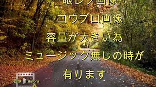 11月11日　#人吉球磨ドキュメンタリー　＃錦町の風景　＃人吉球磨３６５日