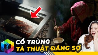 Cổ Trùng Trung Quốc - Tà Thuật Cổ Xưa Làm Hoàng Đế Bao Đời Ám Ảnh [Top 1 Khám Phá]