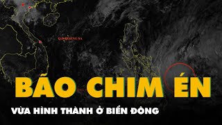 Bão Chim Én vừa hình thành gần Biển Đông