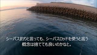 ２０２１年１２月７日　福岡県苅田町でシーバス釣り８０センチへの道のり④