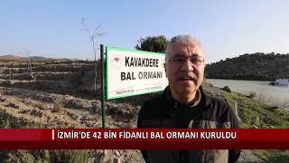 İzmir'de 42 bin fidanlı bal ormanı kuruldu