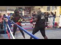 Joseph Parker vs Carlos Takam