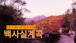 단풍 구경은 백사실계곡으로