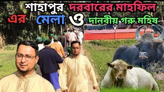 কুমিল্লা শাহাপুরের মাহফিলে গরু মহিষ ও মেলা। Cumilla shahapur Bangladesh