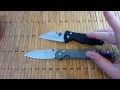 Is the Sebenza 