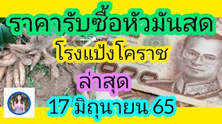 ราคารับซื้อหัวมันสำปะหลังสดโรงแป้งนครราชสีมา 17 มิถุนายน 65