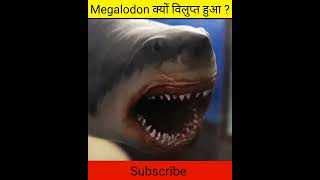 Megalodon क्यों विलुप्त हुआ | Why Megalodon Went Extinct #shorts #megalodon #extinct