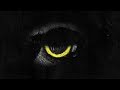 twenty one pilots - Morph (Slowed to Perfection)