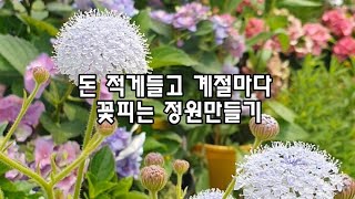 돈 적게 들고 계절마다 꽃피는 정원만들기 /화분에서 꽃키우기 / 옥상정원의 노하우/오래피는꽃/정원에서키우면예쁜꽃들 /풍성한정원만들기 / 씨앗으로키우는화분꽃 /꽃파종하기