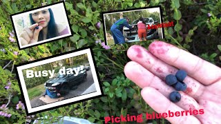 PICKING BLUEBERRIES AND MY HUSBAND FIXING MY CAR