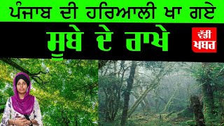 Punjab ਦੇ Jungles ਨੂੰ ਲੈ ਕੇ ਆਈ ਰਿਪੋਰਟ ਚਿੰ ਤਾਜਨਕ | The Khalas Tv