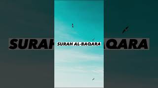 SURAH AL-BAQARA |Ayaat 106-108| Recitation by Mishary Rashid Alafasy | Islam The Heavenly Path